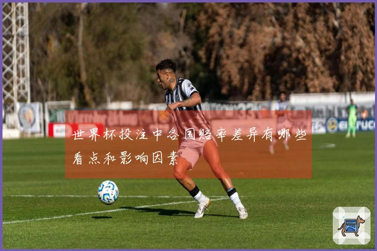 世界杯投注中各国赔率差异有哪些看点和影响因素