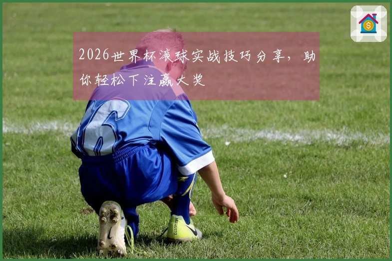 2026世界杯滚球实战技巧分享，助你轻松下注赢大奖