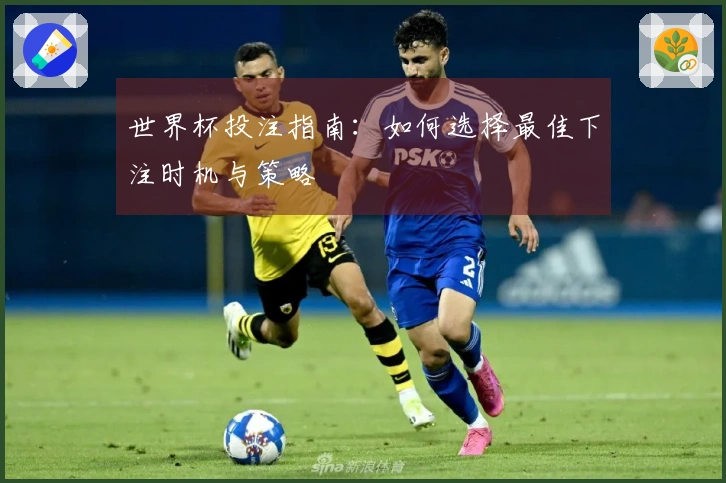 世界杯投注指南：如何选择最佳下注时机与策略