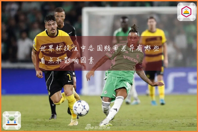 世界杯投注中各国赔率差异有哪些看点和影响因素